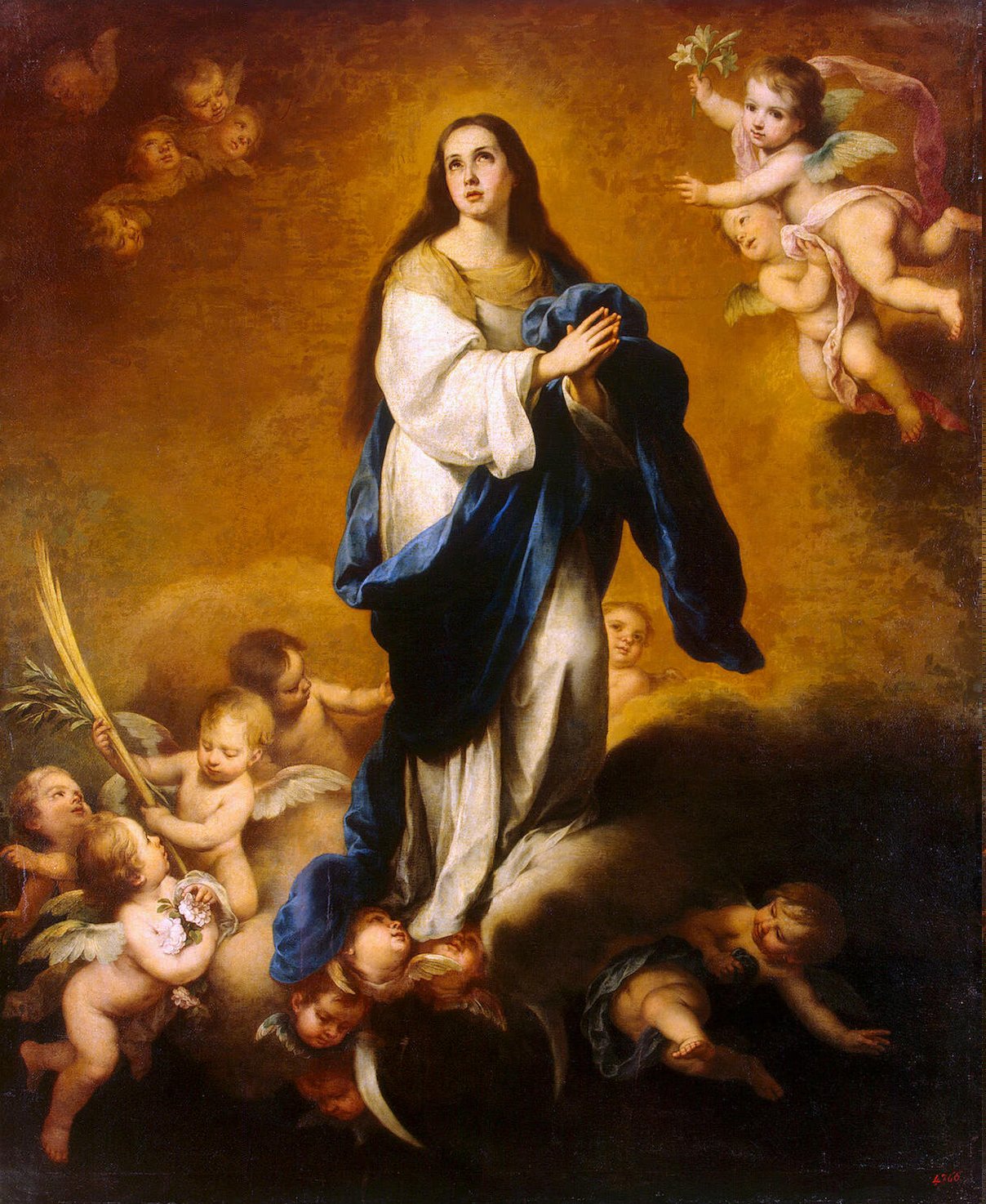 Immaculate Conception