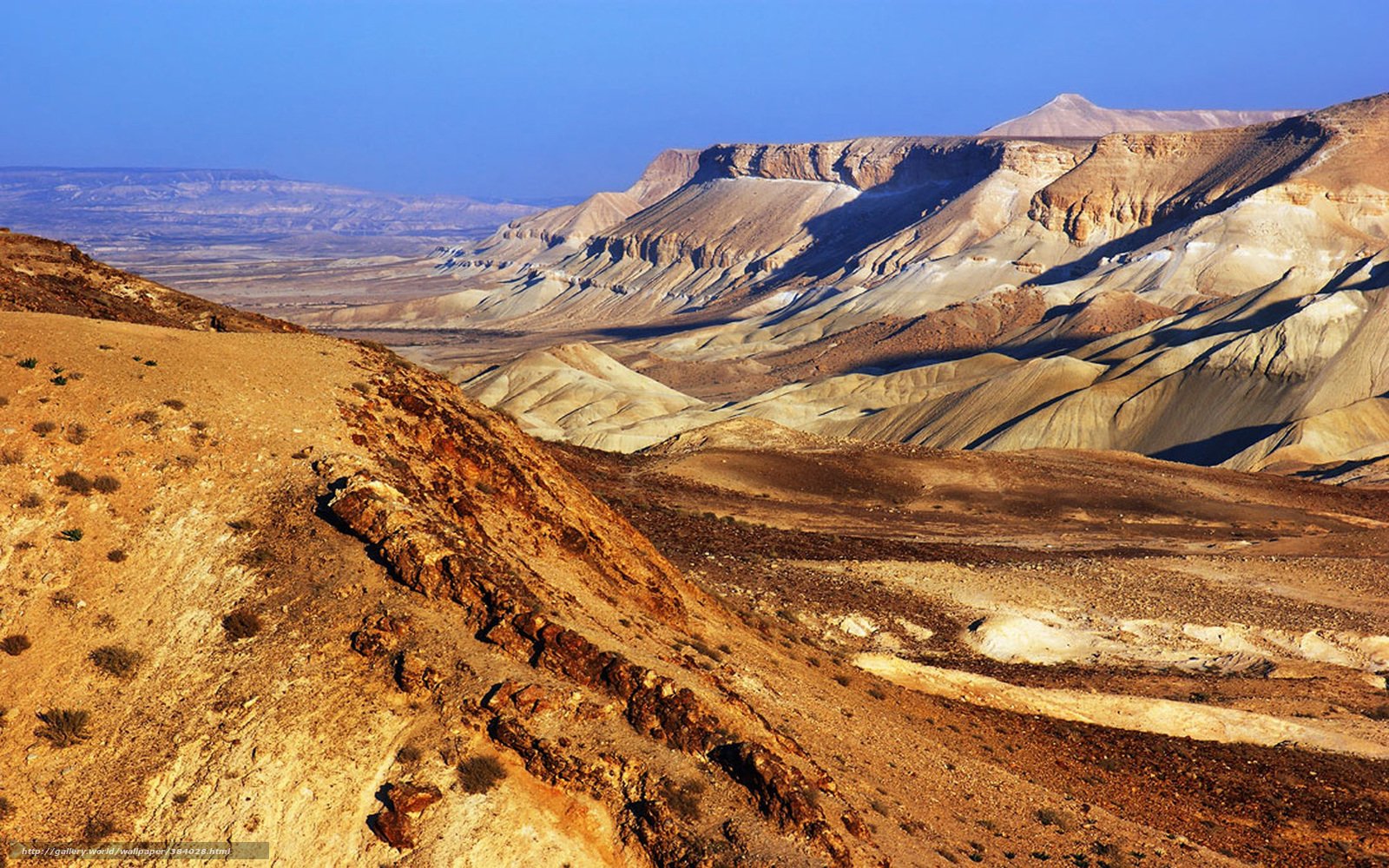 Israel Landscape