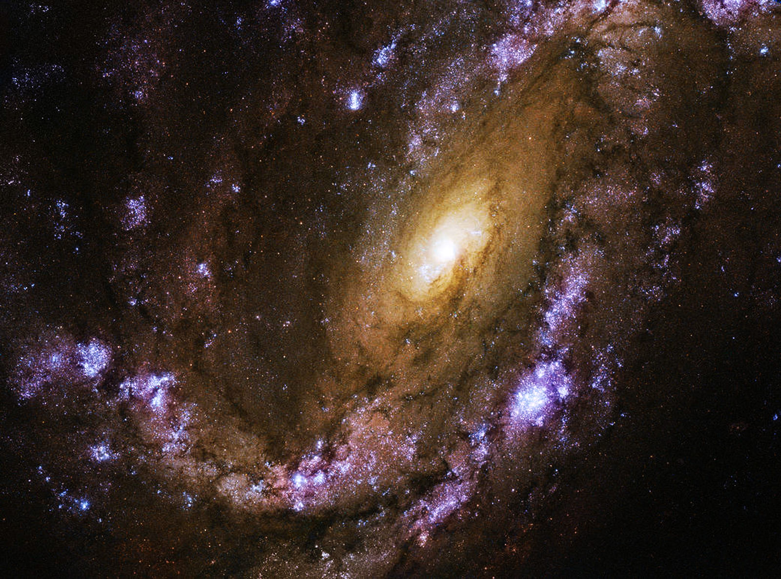 Supernova